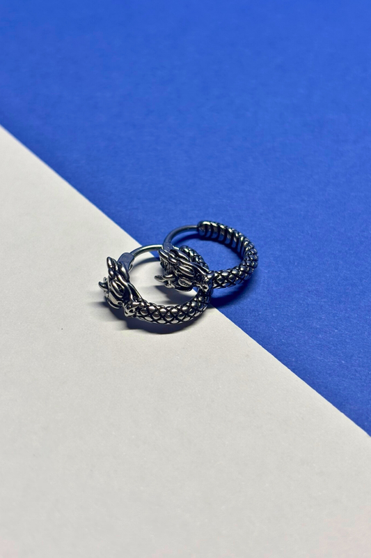 Modern Tasarım Paslanmaz Çelik Erkek Küpe